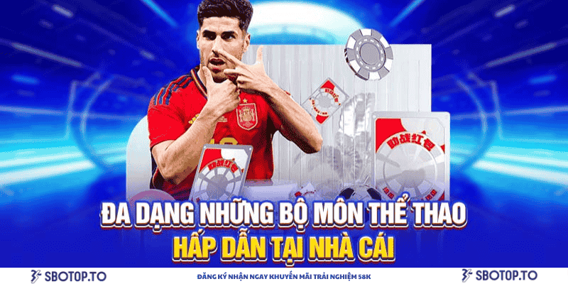 Đa dạng những bộ môn thể thao hấp dẫn tại nhà cái